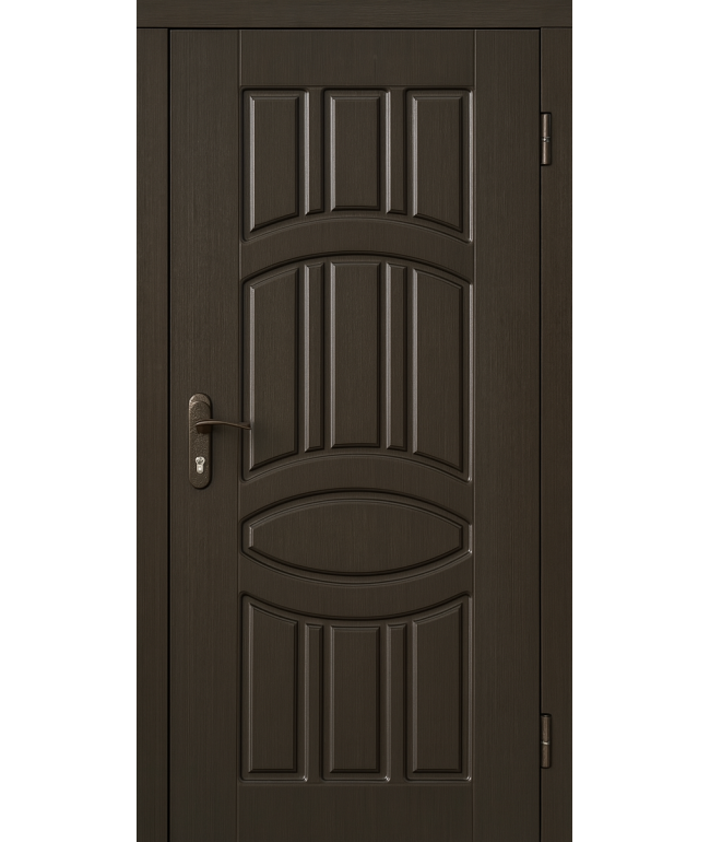 Вхідні двері, які витримають усе — навіть гостей без дзвінка