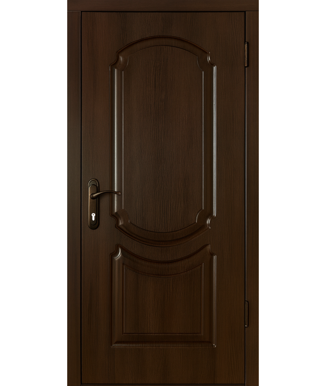 Вхідні двері укоричневому кольорі — сучасно, надійно, зручно