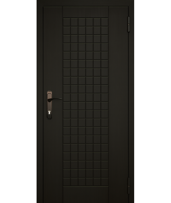 Вхідні двері  — стриманий стиль та надійність щодня