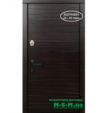 Вхідні двері Вулкан