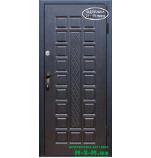 Входная дверь Вулкан