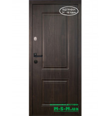 Входная дверь Вулкан