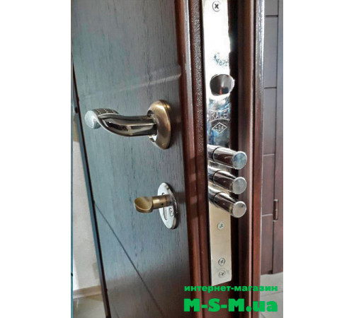 Вхідні двері LUXURY