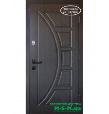 Вхідні двері Вулкан