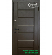 Входная дверь Вулкан