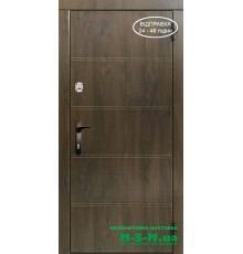 Вхідні двері Вулкан