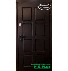 Вхідні двері Вулкан