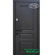 Входная дверь Вулкан