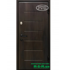 Входная дверь Вулкан