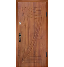 Входная дверь Вулкан