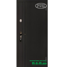 Вхідні двері Вулкан