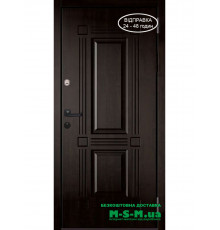 Вхідні двері Вулкан