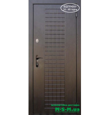 Входная дверь Вулкан