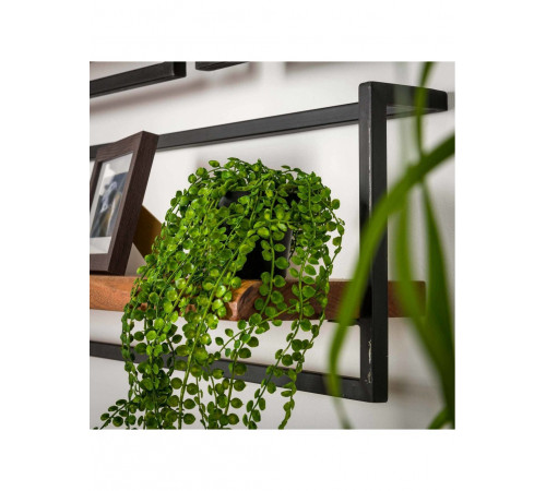 Настінні полиці Living Style