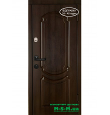 Входная дверь Вулкан