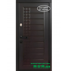 Входная дверь Вулкан