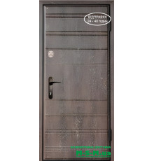 Входная дверь Вулкан