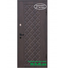 Входная дверь Вулкан