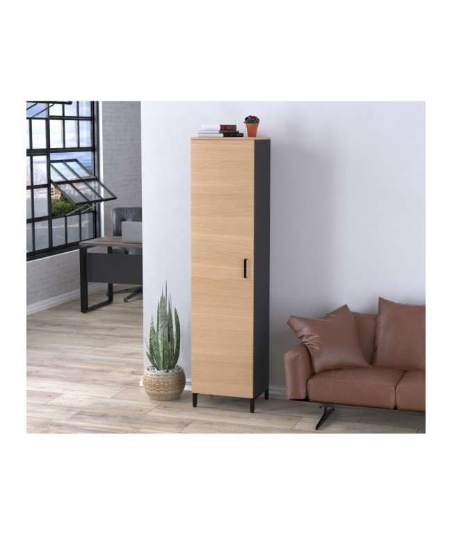 Шафа офісна LT-450-1900 (антрацит) — MSMLOFT