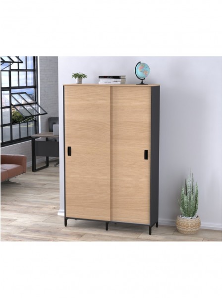 Шафа офісна розсувна LS 1200-1900 антрацит MSMLOFT