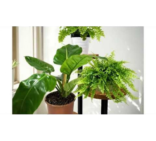 Підставка 3-ярусна «Флінтвіль»