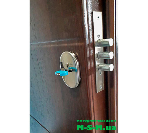 Входная дверь LUXURY