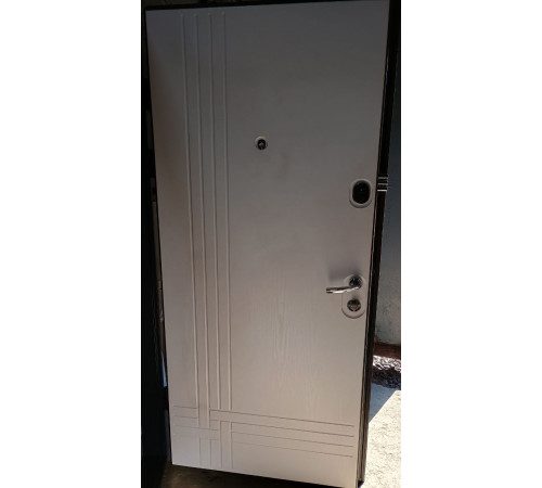 Вхідні двері Булава 3D