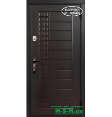 Входная дверь Вулкан