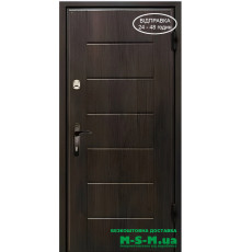 Входная дверь Вулкан