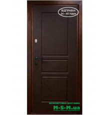 Входная дверь Вулкан