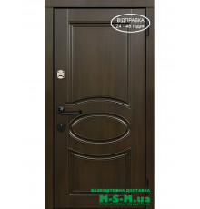 Входная дверь Вулкан