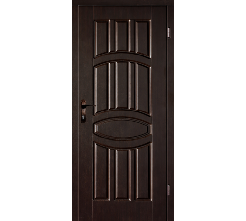 Вхідні двері Вулкан Status