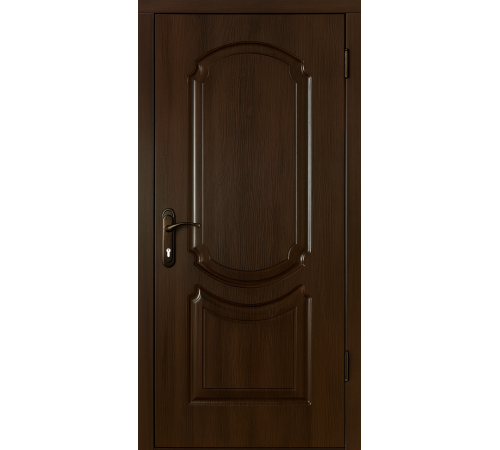 Вхідні двері укоричневому кольорі — сучасно, надійно, зручно