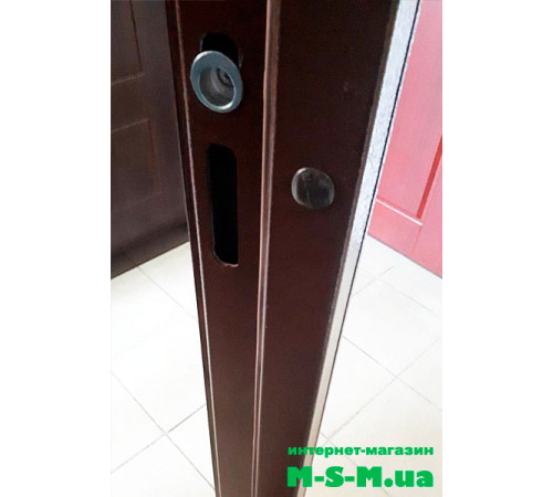 Входная дверь LUXURY