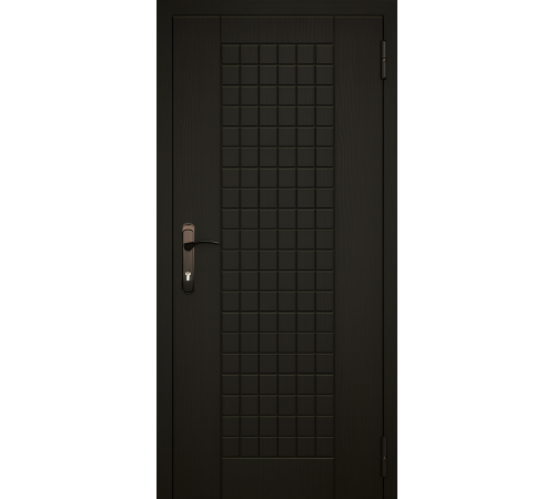 Вхідні двері – стриманий стиль та надійність щодня