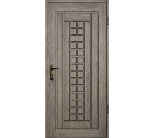 Входная дверь Вулкан Status Grid