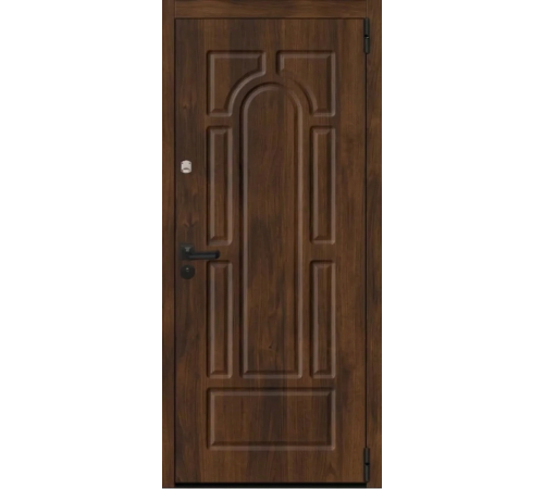 Входная дверь Вулкан Арка Практик