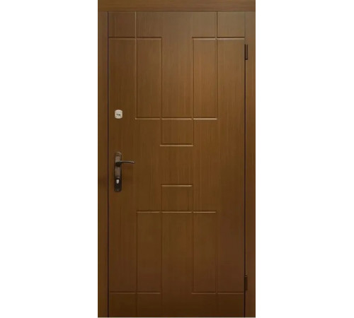 Входная дверь Вулкан Геометрия Вуд