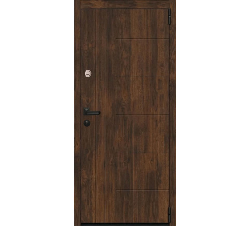 Входная дверь Вулкан Лайн Практик