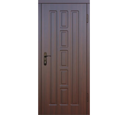 Входная дверь Вулкан Сити