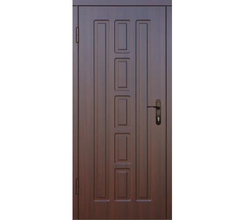 Входная дверь Вулкан Сити