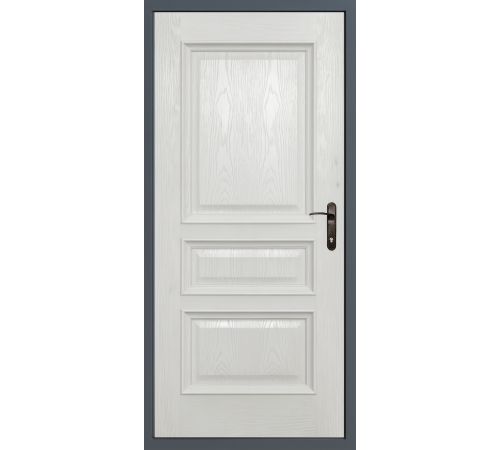 Мінімалістичні вхідні двері - максимум функціональності