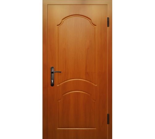 Надійні вхідні двері – щоб було тепло, тихо та спокійно вдома