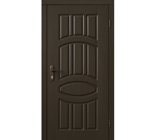 Вхідні двері, які витримають усе — навіть гостей без дзвінка