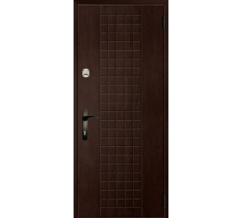 Входная дверь Вулкан Black Quadro