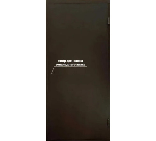 Технічні двері "Технічка" – Надійна та доступна якість від МСМ