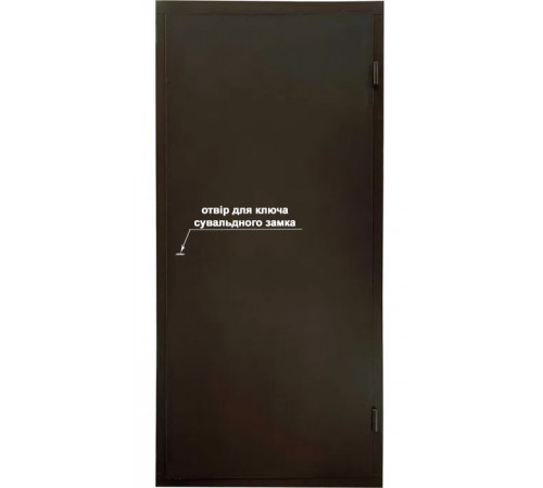 Технічні двері "Технічка" – Надійна та доступна якість від МСМ