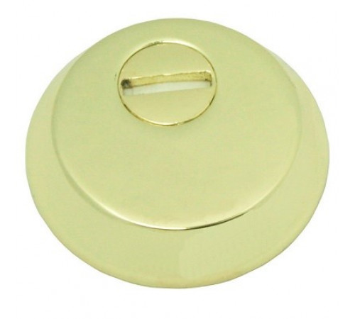 Протектор KEDR Z 1021 латунь полированная